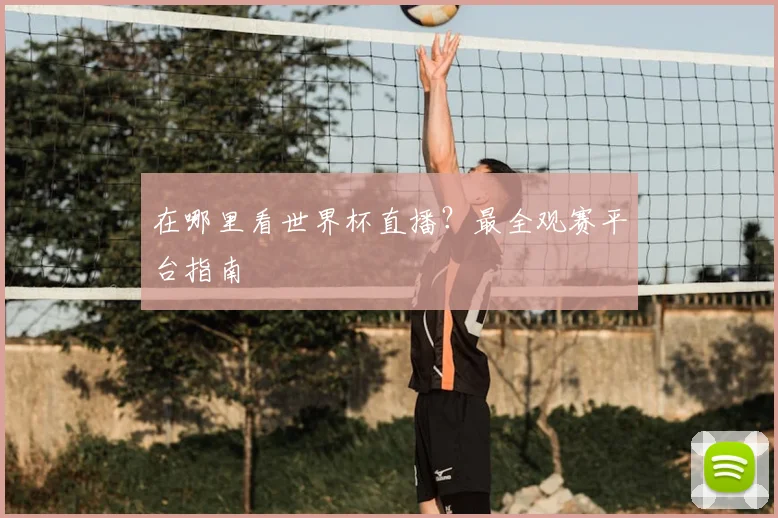 在哪里看世界杯直播？最全观赛平台指南