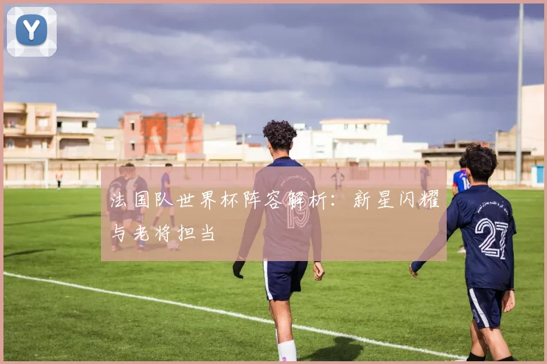 法国队世界杯阵容解析：新星闪耀与老将担当