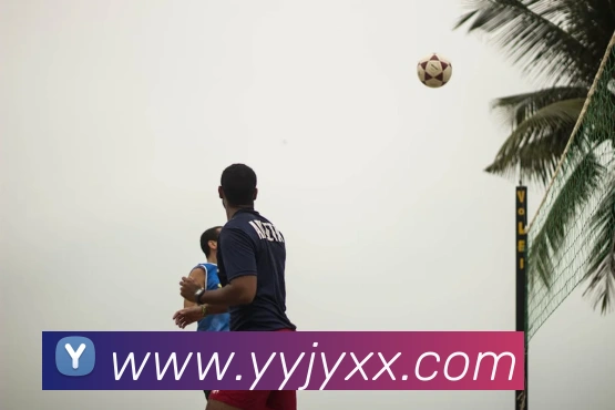 开云手机登录官网服务体系